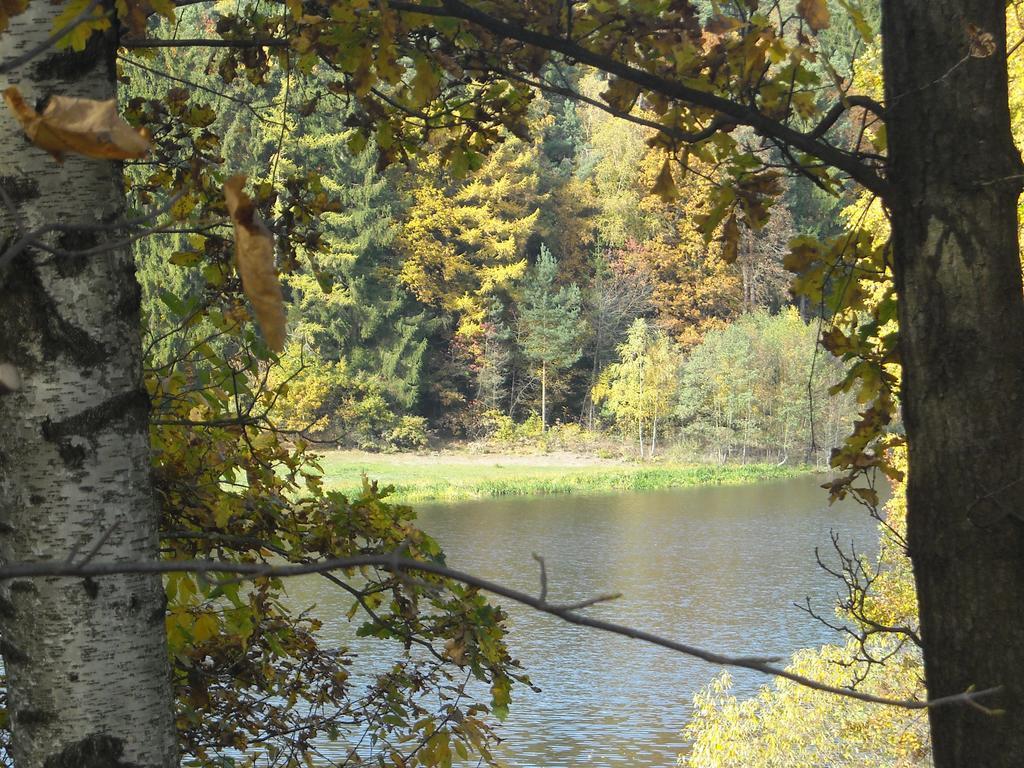 Feriendorf Glasgarten Rötz Zewnętrze zdjęcie